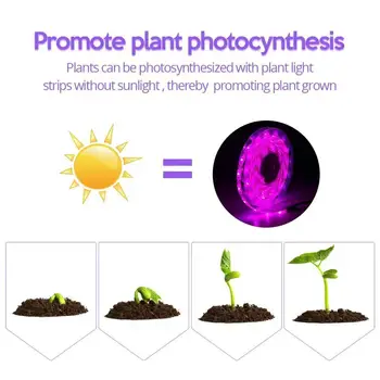 Visą spektrą augalų šviesos 5V augalų augimo led šviesos su RA70 60LED/M 2835 augti šviesos juostos augalų šviesos, naudojamų augalų augimo